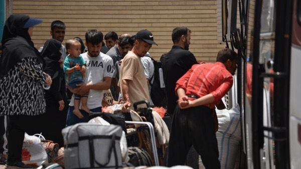 مقام ایرانی: ۵۰ درصد مهاجران افغان فعلاً در ایران می‌مانند