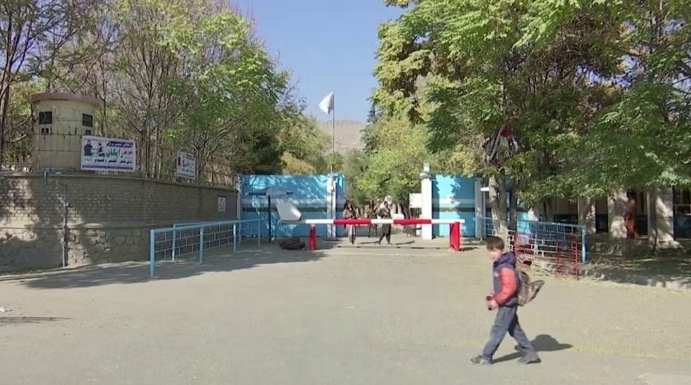 پخوانۍ استادانې: د طالبانو تر واکمنۍ لاندې ژوند تدریجي مرګ دی