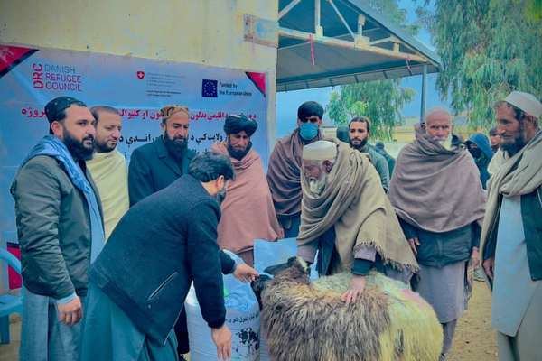 اروپایې ټولنې په ننګرهار کې د مالدارۍ د پیاوړتیا په موخه د ۴۷۸ مېږو مرسته کړې