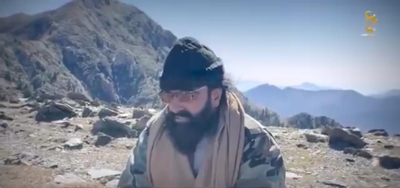 رهبر تحریک طالبان پاکستانی می‌گوید «زنده» است