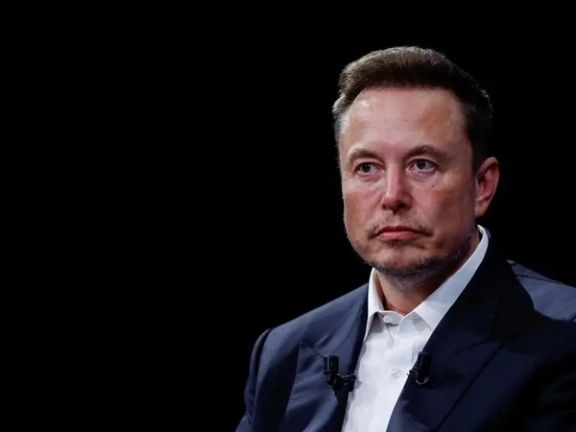 ایلان ماسک حکم دادگاه علیه سیاستمداری افراطی منتقد مهاجران افغان در آلمان را زیر سوال برد