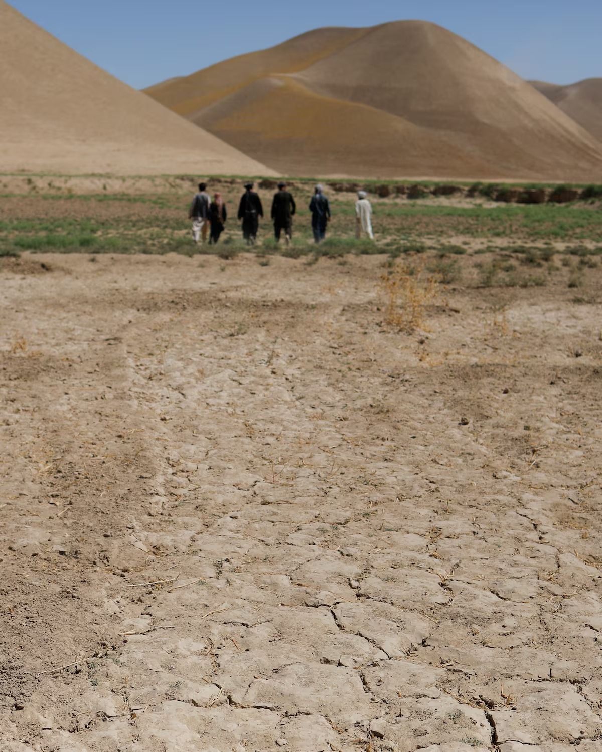 Afghanistan’s Economy At Risk Of 10 Percent Drop As Aid Declines, Says IRC