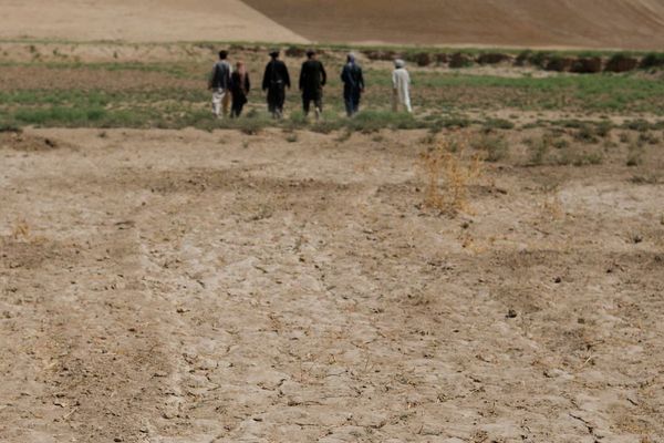 Afghanistan’s Economy At Risk Of 10 Percent Drop As Aid Declines, Says IRC