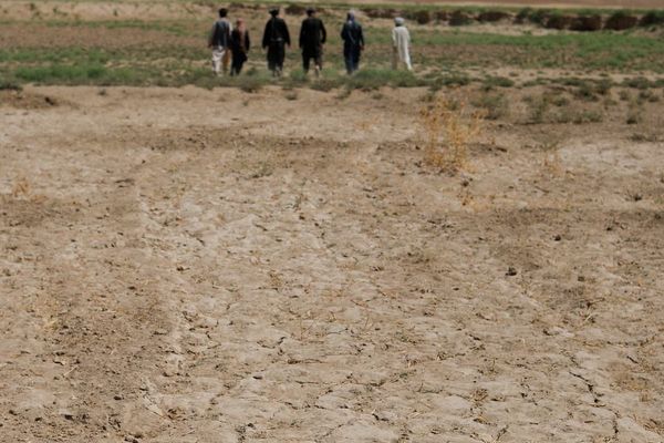 کمیته بینالمللی نجات: کاهش کمکها ۱۰ درصد درآمد ناخالص ملی افغانستان را از بین میبرد