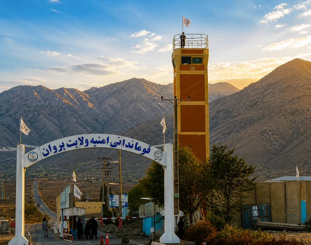 طالبانو په پروان کې ۷ کسان د نشه‌يي توکو د کاروبار په تړاو نیولي 