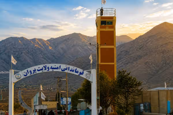طالبانو په پروان کې ۷ کسان د نشهيي توکو د کاروبار په تړاو نیولي