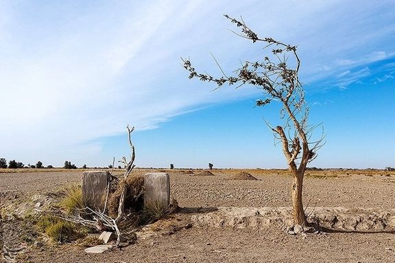 سازمان محیط زیست ایران: طالبان در احیای دریاچه هامون همکاری نکند، فاجعه انسانی رخ میدهد