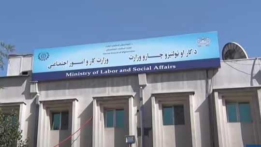 طالبان:په دریو میاشتو کې مو د بهرنیانو په ګډون له ۲۲ زرو ډيرو کسانو ته د کار جوازونه ورکړي