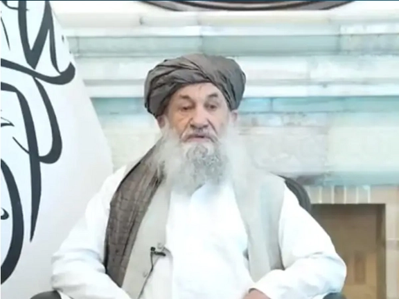 Taliban PM Urges Pak To Resolve Differences With Group on Immigrants Issue