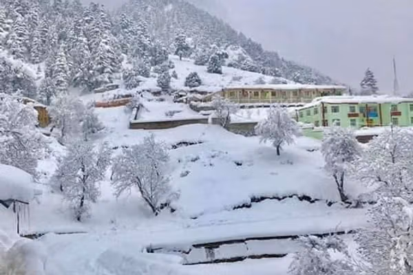 پاملرنه: سخت ژمی په افغانستان کې د زرګونو کورنیو ژوند او معیشت ګواښي