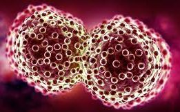 ژوند او روغتیا؛ د سرطان هغه نښه چې ناروغان یې ۳ میاشتې مخکې تجربه کوي