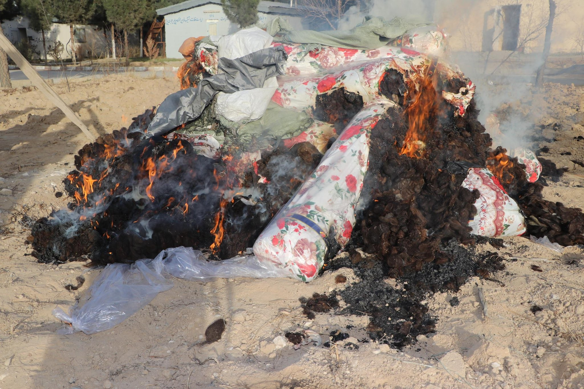 طالبانو په بلخ کې تر ۲۰۰ کیلوګرامه ډېر انساني وېښتان وسوځول