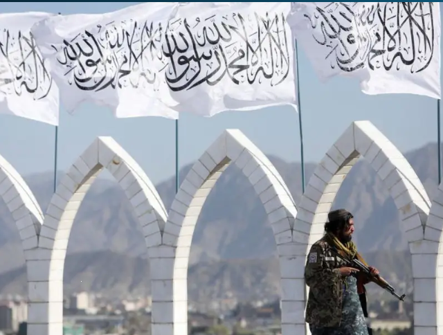 Hundreds Of People Flogged In Afghanistan By Taliban In Past One Year, Says Afghan Witness