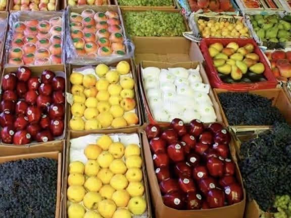 طالبان وایي تېرکال له افغانستان نه نږدې ۳۰۰زره ټنه تازه مېوه بهر ته صادره شوې