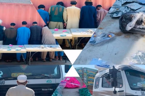 طالبان وایي ننګرهار کې یې د نشهیي توکو د قاچاق او پلور په تړاو ۲۳ کسان نیولي