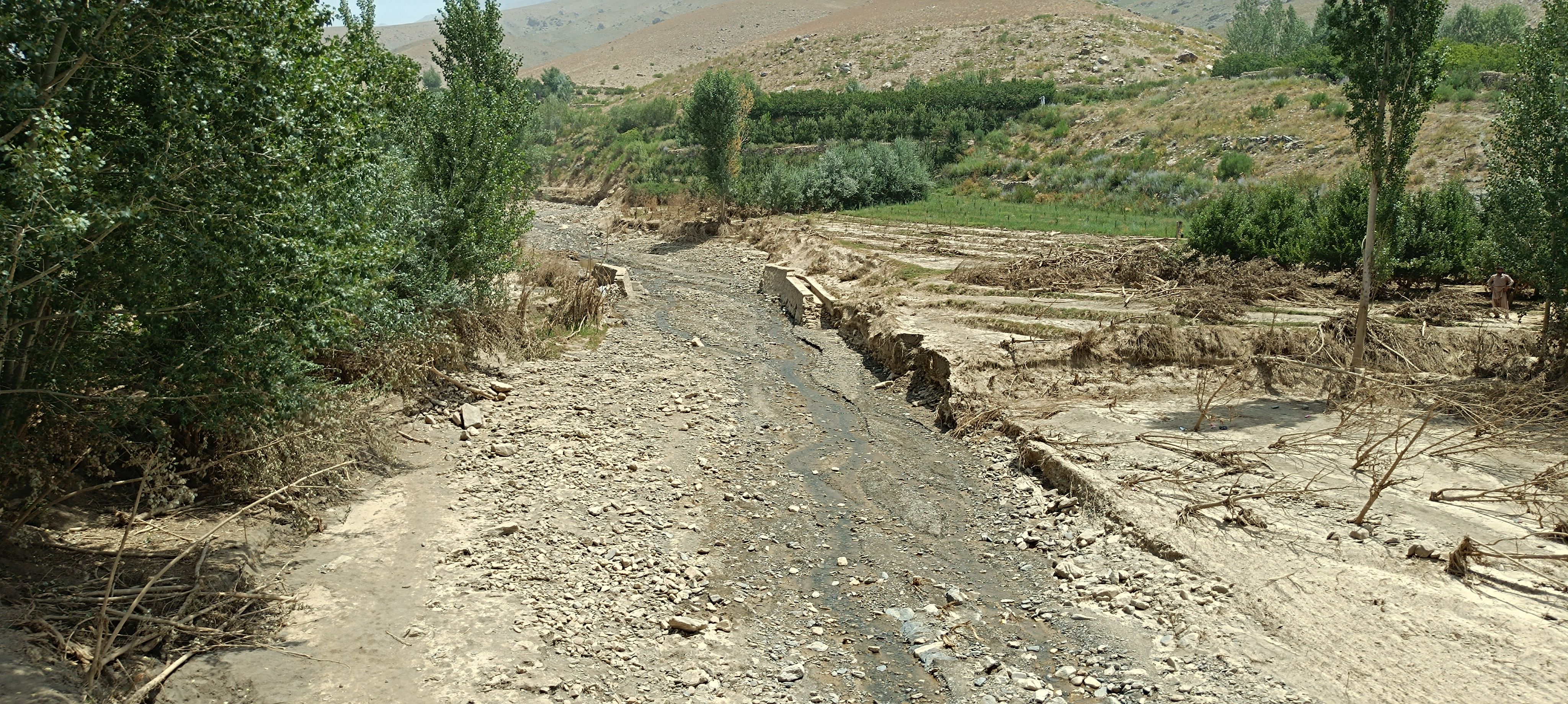 طالبان می‌گوید وضعیت محیط‌زیست افغانستان وخیم است