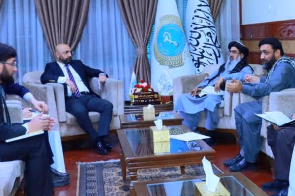 نور جلال جلالي: د ترکیې تولید شوي درمل د افغانستان لپاره ګټور دي