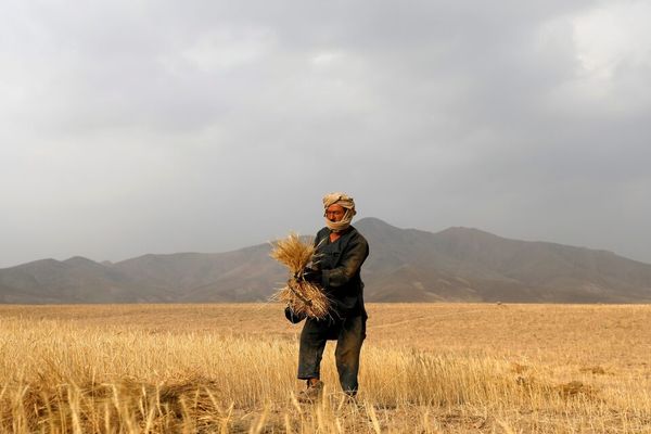 عربستان یک میلیون دالر به بخش کشاورزی افغانستان کمک کرد