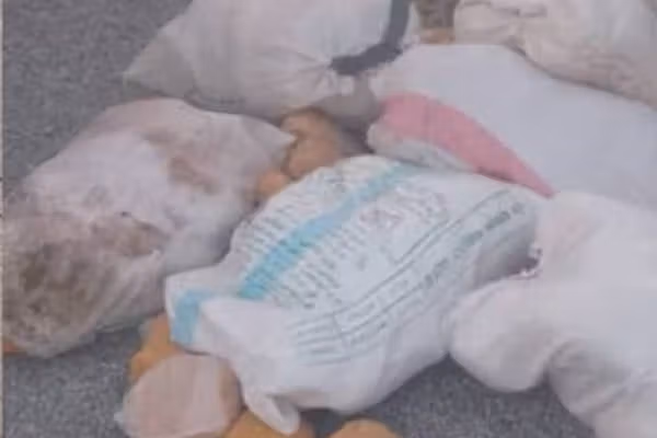 طالبان: په دریو ولایتونو کې مو د نشه یي توکو د قاچاق په تور ۱۰ کسان نیولي