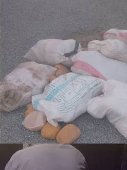 طالبان: په دریو ولایتونو کې مو د نشه یي توکو د قاچاق په تور ۱۰ کسان نیولي