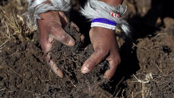 خاورې پورې تړلي ژوي یو پر پنځمه برخه د له منځه تلو له ګواښ سره مخ دي