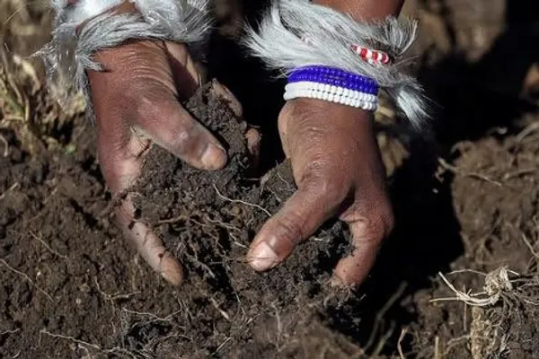 خاورې پورې تړلي ژوي یو پر پنځمه برخه د له منځه تلو له ګواښ سره مخ دي