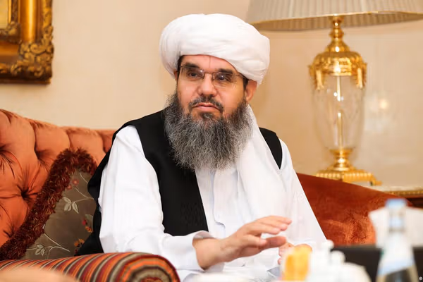 سندونه: شهاب الدین دلاور د سرې میاشتې ټولنې په ۲۲ بستونو کې خپلوان او خپل نژدې کسان ګمارلي