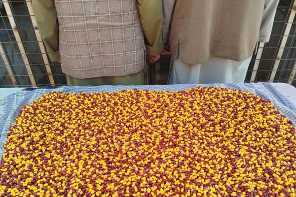 طالبان وايي په ننګرهار کې یې له دوو تنو څه باندې ۱۳ زره نشه يي ګولۍ نیولې