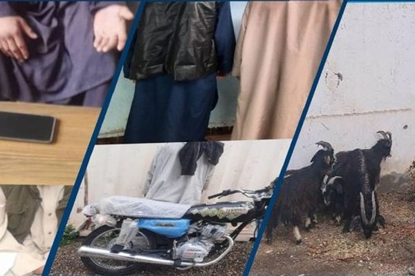طالبان: امنیتي ځواکونو په هرات او څو نورو ولایتونو کې ۲۰ تنه د غلا په تړاو نیولي