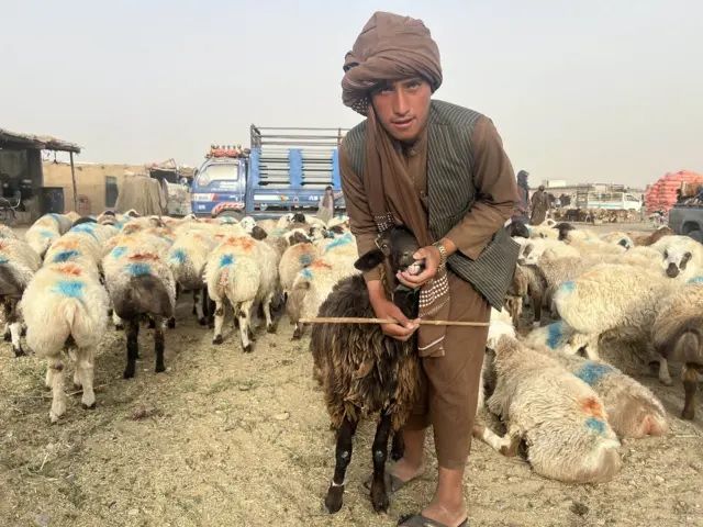 د روغتیا نړیوال سازمان سپارښتنه؛ په لوی اختر کې د قربانۍ پر مهال روغتیايي اصول مراعات کړئ