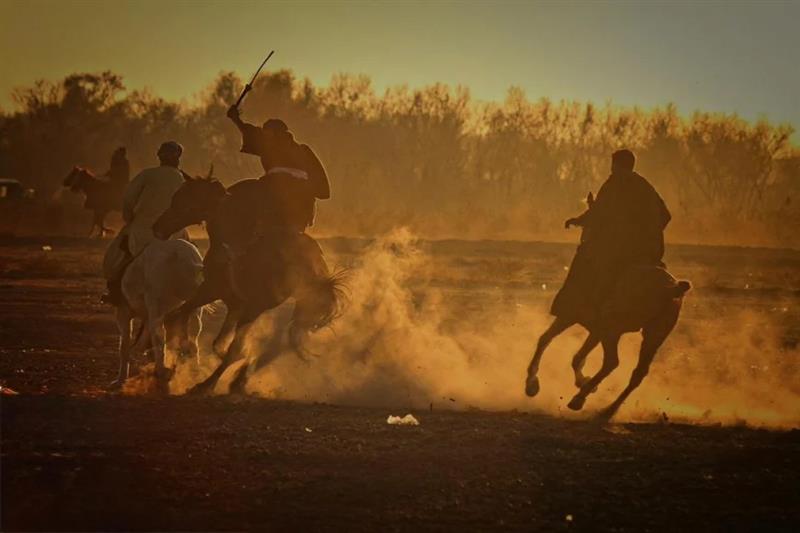 په هرات  کې د ۴۰ چاپندازانو ترمنځ د وزلوبې سيالي شوې