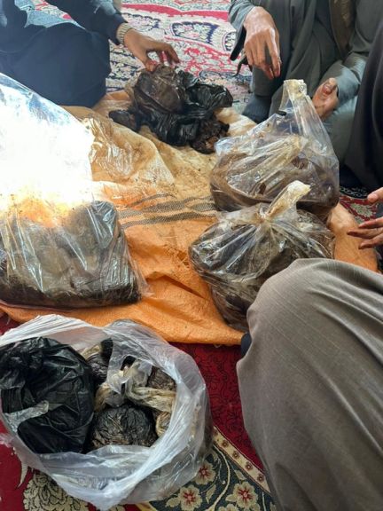 د هلمند د سنګين ولسوالۍ په يوه کور کې د تارياکو پلور