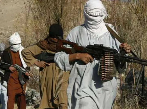 Pakistan Lists Hafiz Gul Bahadur Group & Majid Brigade As Terrorist Organisations