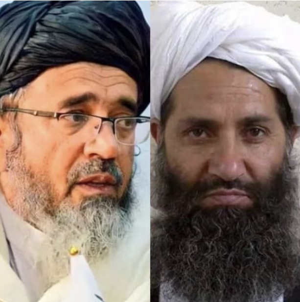د طالب مشرانو د نیولو تر حکم وروسته؛ د تېرکال په لړ کې طالبانو ګڼ نور محدودیتونه لګولي دي