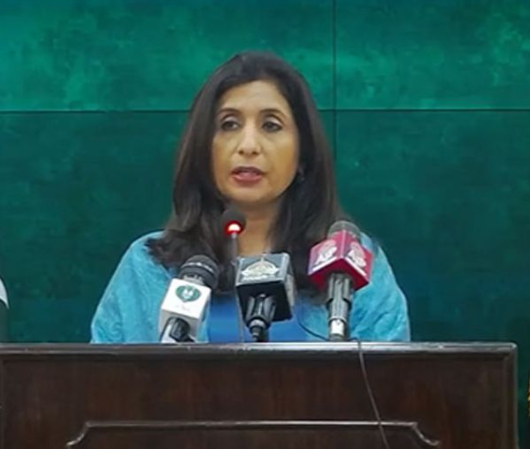 Shared Concerns Regarding Presence of Terror Groups in Afghanistan, Says Pak Official