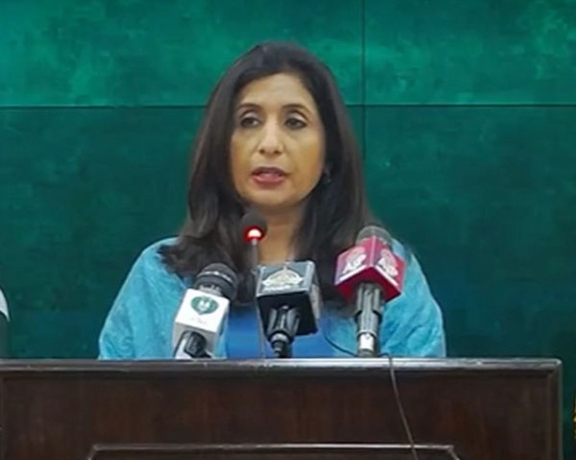 Shared Concerns Regarding Presence of Terror Groups in Afghanistan, Says Pak Official