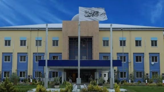 طالبانو د نشه یي توکو د پلور او قاچاق په تړاو ۳۷ کسان نیولي