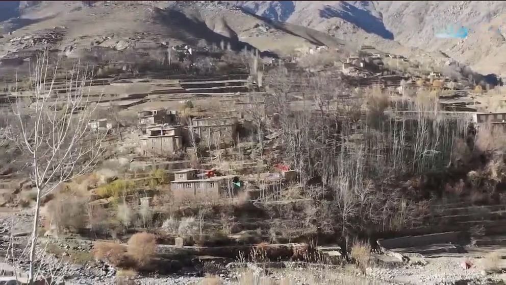 منابع: طالبان پنج باشنده پنجشیر را به اتهام داشتن سلاح و ارتباط با مخالفان بازداشت کرد