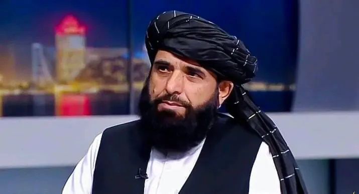 سهیل شاهین د هالنډ له سفیرې سره پر افغان کډوالو او بشري مرستو غږېدلی