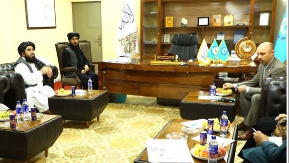 طالبان از صلیب سرخ برای درمان افراد معتاد به مواد مخدر کمک خواست