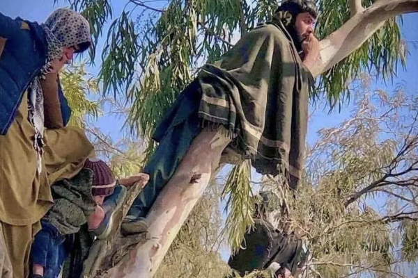 خبراء الأمم المتحدة يدينون تصاعد العقوبات البدنية بحق السكان على يد طالبان