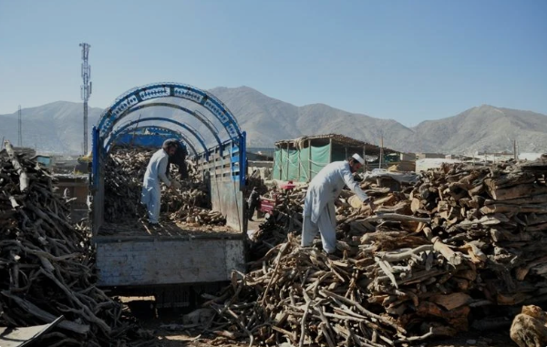 د پکتیا اوسېدونکي په ساړه ژمي کې د سون‌لرګیو له لوړو بیو شکایت کوي