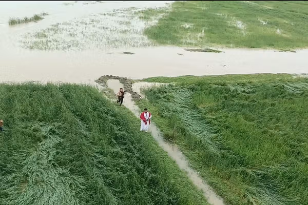 په تېرو ۱۳ ورځو کې د طبیعي پېښو له امله ۱۴۷ کسان مړه او ۲۱۶ ټپیان دي