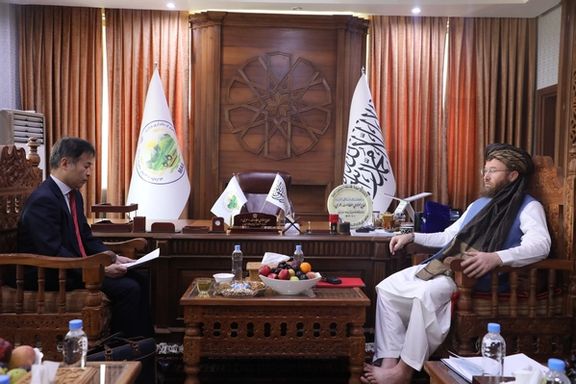 طالبانو له جاپان نه وغوښتل چې خپلې پروژې له دوی سره په همغږۍ پلې کړي