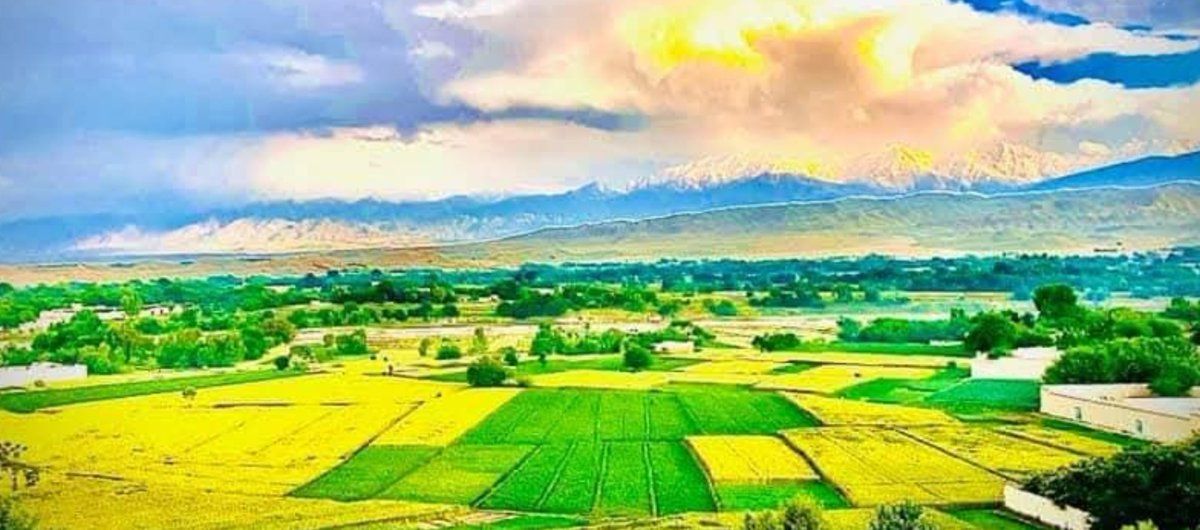 چهار نفر در درگیری بر سر زمین در ننگرهار جان باختند