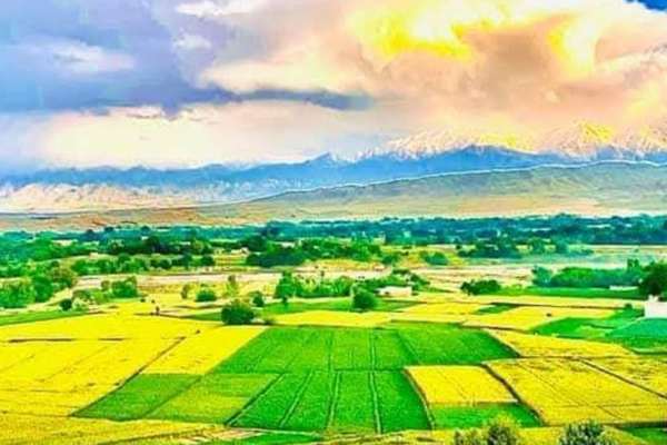 چهار نفر در درگیری بر سر زمین در ننگرهار جان باختند