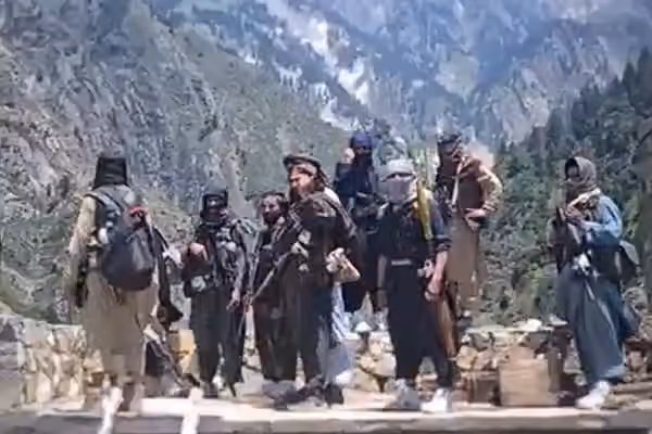 طالبانو د افغانستان په ۸ ولایتونو کې د ټي ټي پي جنګیالي او د هغوی افغان ملاتړي نیولي
