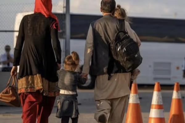 62 مهاجراً أفغانياً يوافقون على التخلي عن الانتقال إلى ألمانيا مقابل مبلغ مالي