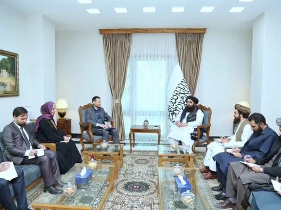 Taliban FM Expresses Desire For 'Meaningful Participation' In Doha Meeting