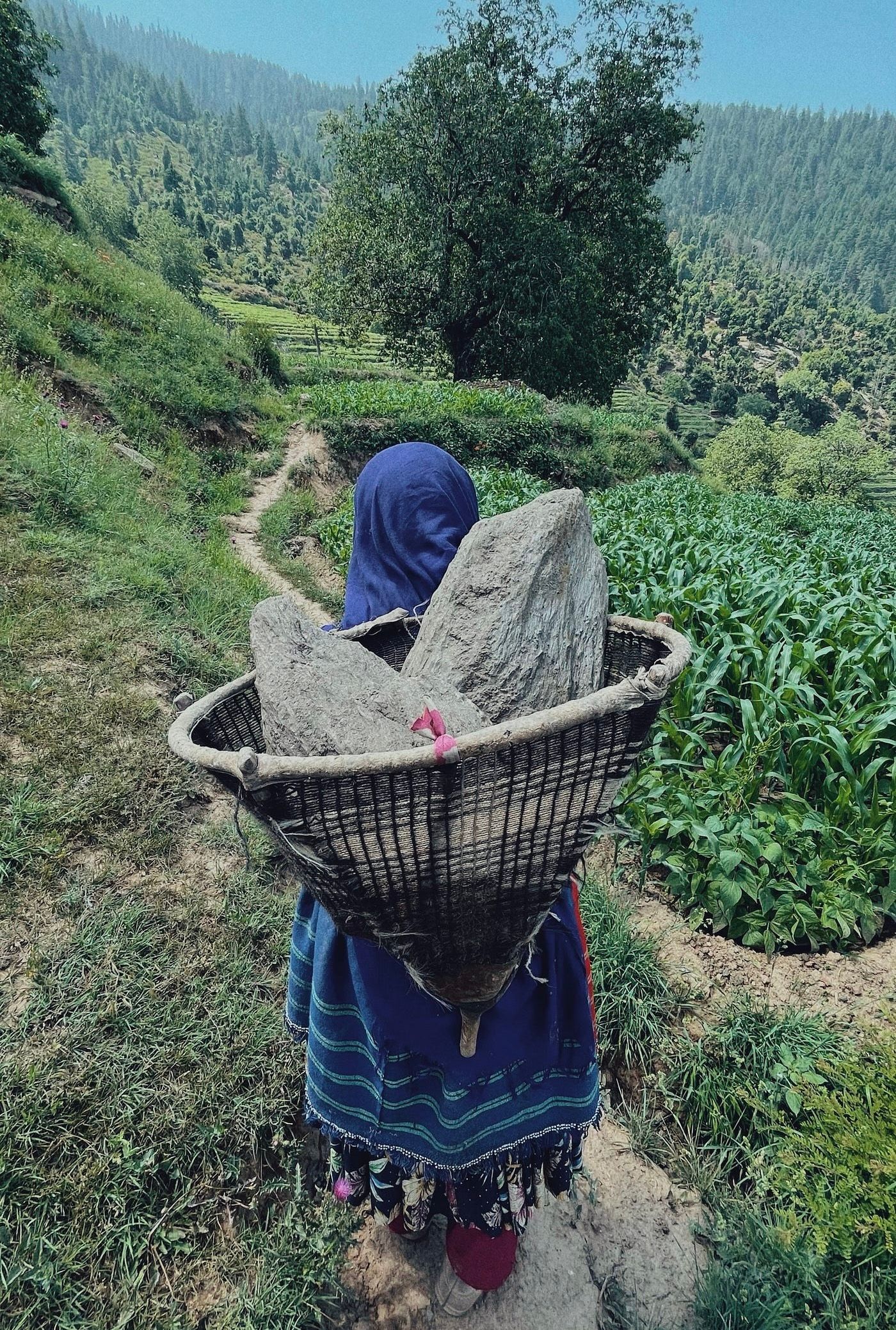 طالبانو په نورستان کې د ښځو پر درنو کارونو بندیز ولګاوه